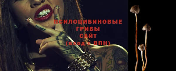 герыч Россошь